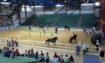 Potros 31-36